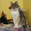 Отзыв от Дина Вдовина